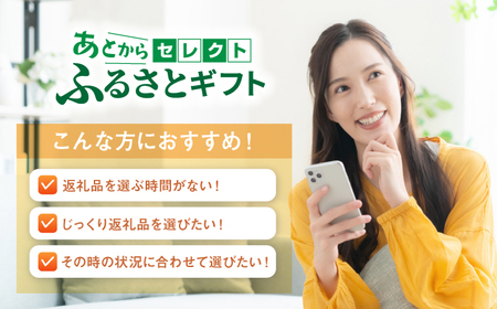 あとからセレクト 波佐見町ふるさとギフト 1万円分 あとから選べる カタログギフト[FB93]