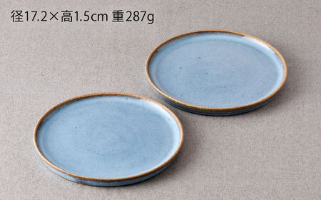 【波佐見焼】テラコッタ・BLUE プレートM 2枚セット【利左エ門窯】[QB67]