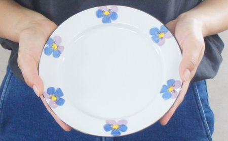 【波佐見焼】リムプレートM パンジー 2枚 セット 【トーエー】[QC78]