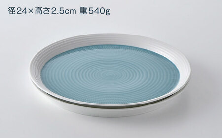 【ふるさと納税限定】波佐見焼で楽しむ 長崎和牛ヒレステーキセット【野中精肉店/一真窯】[VF99]