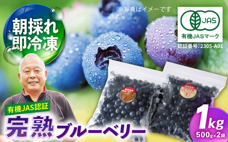 【有機JAS認証】有機ブルーベリー 冷凍 1kg(500g×2袋) 国産 【百笑会】[DA31]