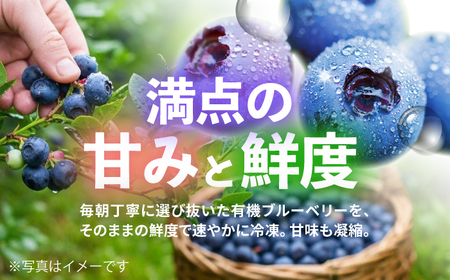 【有機JAS認証】有機ブルーベリー 冷凍 1kg(500g×2袋) 国産 【百笑会】[DA31]