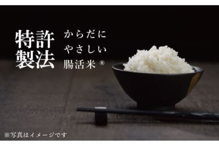 【6回定期便】特許製法の無洗米「海の腸活米」1.2kg×6回 計7.2kg【出島トンボロ】 [VD05]