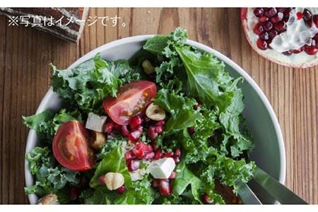 【波佐見ブランド/Common】ボウル 12cm イエロー 5個セット 食器 皿 【東京西海】 [DD122]