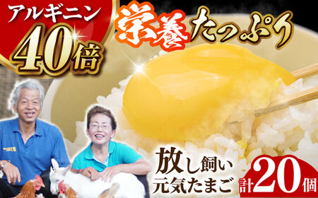 アルギニン元気たまご20個【浅田峠自然塾】[EA01] 平飼い卵 放し飼い卵 たまご