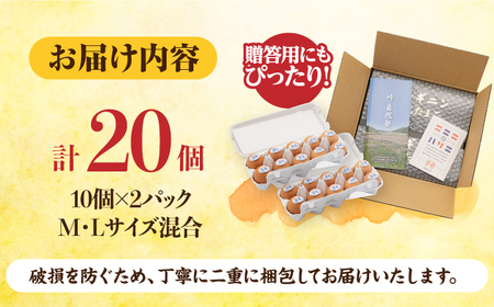 アルギニン元気たまご20個【浅田峠自然塾】[EA01] 平飼い卵 放し飼い卵 たまご