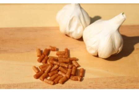 【全12回定期便(月1回)】【栄養満点！】ニンニク卵黄 自然栽培 【浅田峠自然塾】 [EA11]