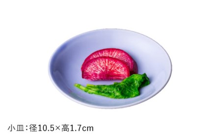【波佐見焼】紅掛空（べにかけそら）色 6型セット 小皿 茶碗 小鉢 大皿  食器 皿 【DRESS】 [SD02] 波佐見焼