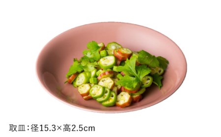 【波佐見焼】水柿（みずがき）色 6型セット 小皿 茶碗 小鉢 大皿  食器 皿 【DRESS】 [SD07] 波佐見焼