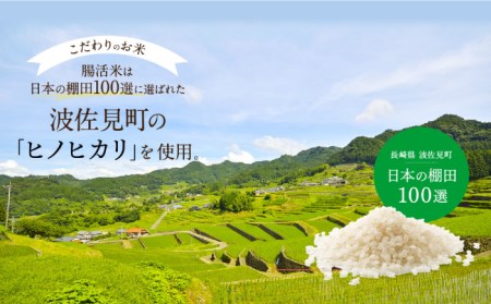 長崎県波佐見町産棚田米（新米）