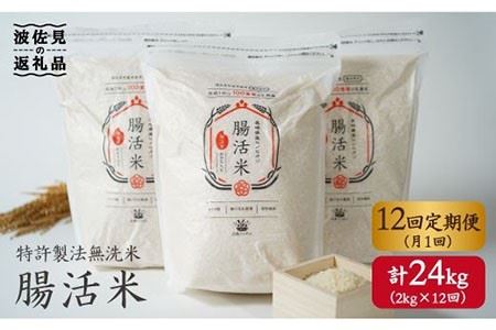 12回定期便 特許製法の腸活米 2kg 12回 計24kg 無洗米 出島トンボロ Vd03 長崎県波佐見町 ふるさと納税 サイト ふるなび