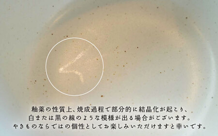 【波佐見焼】easy don どんぶり ユキオコシ 2個セット どんぶり 丼 ボウル 食器 どんぶり 丼 皿【ZOE・一誠陶器】 [VE22]  波佐見焼