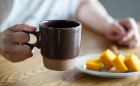 【波佐見焼】KIRITORU IRON マグカップ （ブラック×アイボリー）セット  食器 皿 【アイユー】 [UA27]  波佐見焼