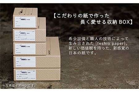 収納 スタッキング ポストカードサイズ Baggage Box csm エンボス インテリア【岩嵜紙器】 [ZA33]