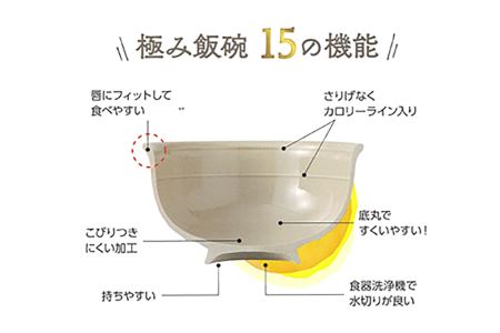 【波佐見焼】丸紋菊 極み飯碗 茶碗 2個セット 食器 皿 【西日本陶器】 [AC116] 波佐見焼