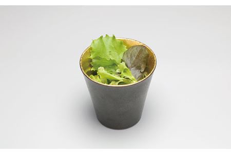 【波佐見焼】ゴールド・プラチナ ペア カップ  食器 皿 【不二商店】 [UC15] 波佐見焼