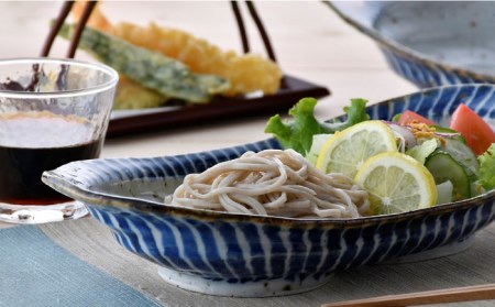 【波佐見焼】おとなの カレー皿 （染十草） 2枚セット 食器 皿 【大桂工房】 [GD30]  波佐見焼