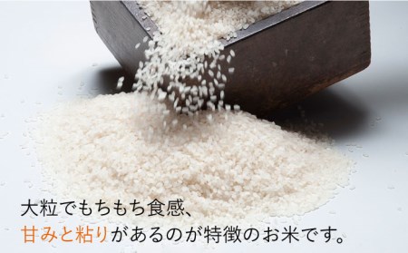 【棚田米】鬼木棚田の棚田米 夏ほのか 2kg 低農薬栽培 お米【野下上絵】[LE12] 