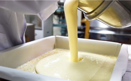 【懐かしい味】カステラ スイーツ お菓子 1斤分 ギフト【福田屋本舗】[LF01]