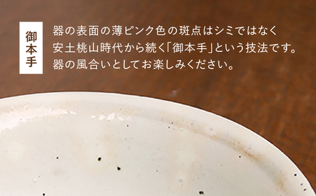 【波佐見焼 マルヒロ】BARBAR サビ十草 丼ペアセット（2点） [EB125] 波佐見焼