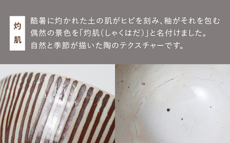 【波佐見焼 マルヒロ】BARBAR サビ十草 丼ペアセット（2点） [EB125] 波佐見焼