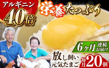 【全6回定期便】【栄養満点！】アルギニン元気たまご 20個×6回お届け 定期便 (月1回) 自然栽培 たまご 卵 【浅田峠自然塾】[EA16]