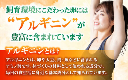 【全6回定期便】【栄養満点！】アルギニン元気たまご 20個×6回お届け 定期便 (月1回) 自然栽培 たまご 卵 【浅田峠自然塾】[EA16]