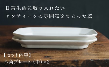【波佐見焼】八角 プレート (中) 白マット釉 2枚セット 食器 皿【イロドリ】[KE37] 波佐見焼
