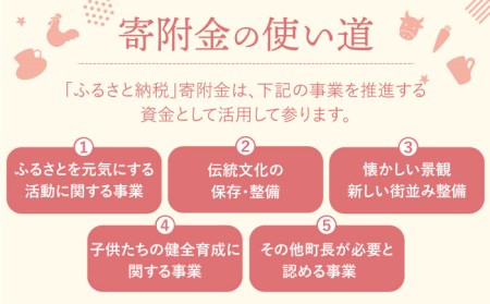 【返礼品なし】長崎県波佐見町 ふるさとづくり応援寄附金（5,000円分）[FB73]