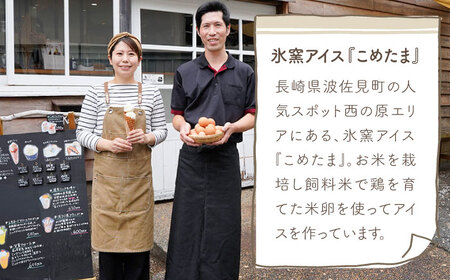 【こだわり濃厚米卵！】クレーマ カタラーナ 9個セット クレームブリュレ アイス 【氷窯アイス こめたま】[GF01]