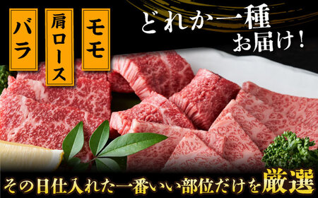 A4-A5 長崎和牛 焼肉用 500g×2 (1kg)  [DBS002] 牛肉 焼肉