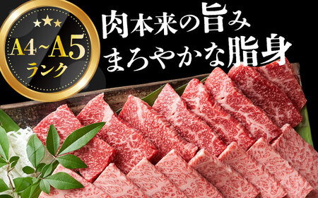 訳あり 長崎和牛 焼肉切り落とし 肩ロース・バラ 500g [DBS003] 訳アリ 牛肉