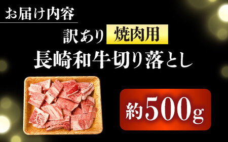 訳あり 長崎和牛 焼肉切り落とし 肩ロース・バラ 500g [DBS003] 訳アリ 牛肉
