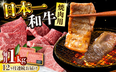 【12回定期便】 A4-A5 長崎和牛 焼肉用牛肉 500g×2 [DBS040] 牛肉 焼肉用