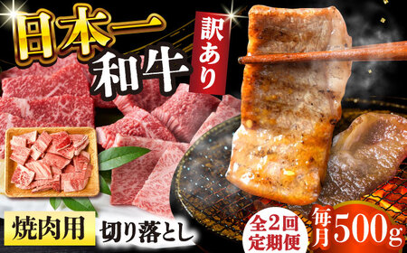 【2回定期便】【訳あり】A4-A5 長崎和牛 焼肉 切り落とし 500g(肩ロース・バラ） [DBS041] 訳アリ 牛肉