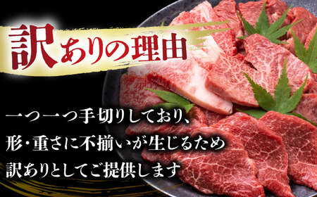【2回定期便】【訳あり】 A4-A5 長崎和牛 焼肉切り落とし 500g×2 (肩ロース・バラ)   [DBS045] 訳アリ 牛肉