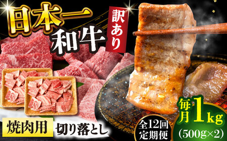 【12回定期便】【訳あり】A4-A5 長崎和牛 焼肉切り落とし 500g×2(肩ロース/バラ) [DBS048] 訳アリ 牛肉 肩ロース バラ 11,100円