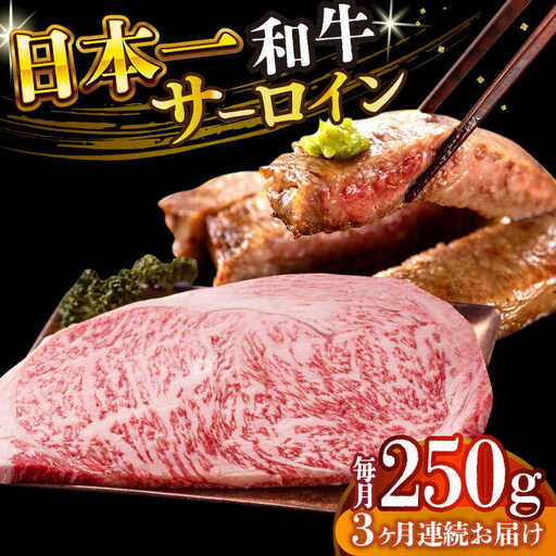 【3回定期便】A4-A5 長崎和牛 サーロインステーキ (250g×1)  [DBS082] 牛肉 焼肉 ステーキ