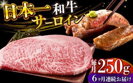 【6回定期便】A4-A5 長崎和牛 サーロインステーキ 250g×1 [DBS083] サーロインステーキ