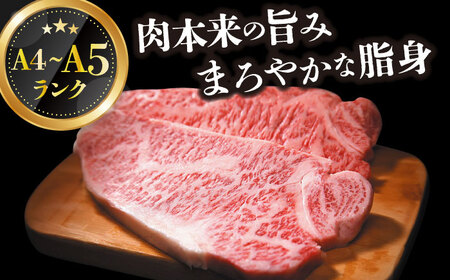 【12回定期便】A4-A5 長崎和牛 サーロインステーキ (250g) [DBS084] 牛肉 焼肉 ステーキ 