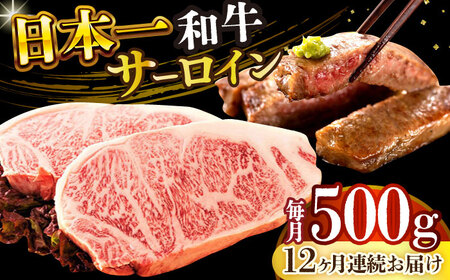 【12回定期便】A4-A5 長崎和牛 サーロインステーキ 250g×2 [DBS088] 牛肉 焼肉 ステーキ