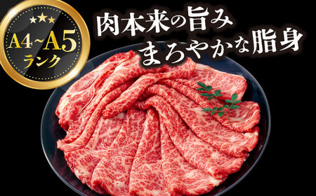 【6回定期便】【厳選部位】A4-A5 長崎和牛 サーロイン しゃぶしゃぶ すき焼き用 500g  サーロイン  [DBS099]