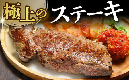 【6回定期便】A4-A5 長崎和牛 ヒレステーキ (150g×3)  [DBS159] ヒレ 牛肉