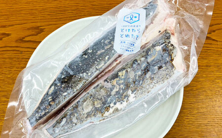 【とけたらとれたて】 ハガツオ（下処理・瞬間冷凍済） 生・炙り食べ比べ 計600g以上（各300g 2P） 鰹 かつお [DBY013]