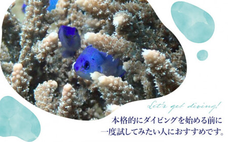 【体験ダイビング】Discover Scuba Diving コース 1名様  [DBB001]