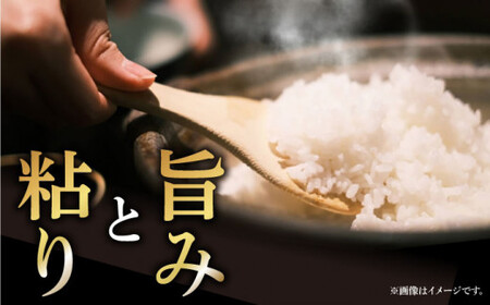 【令和7年度産新米】おぢかんうまか米（小値賀町産こしひかり 5kg ・精白米） [DAB014] コシヒカリ