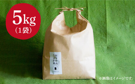 【令和7年度産新米】おぢかんうまか米（小値賀町産こしひかり 5kg ・精白米） [DAB014] コシヒカリ