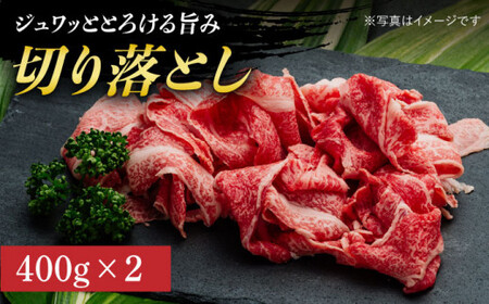 【12回定期便】長崎和牛堪能コース 和牛定期便 90万円以上 [DAR040]