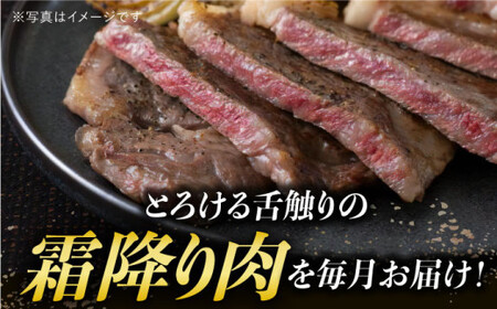 【6回定期便】A5 長崎和牛 霜降り [DAR037]