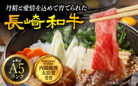 【6回定期便】A5赤身 長崎和牛 [DAR034] 赤身 牛肉